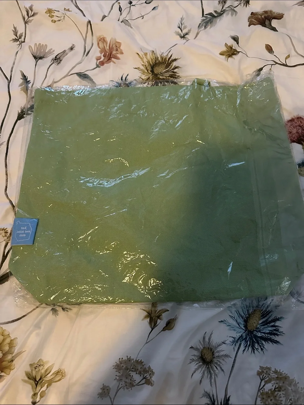 Totoro Green Canvas Tote Bag